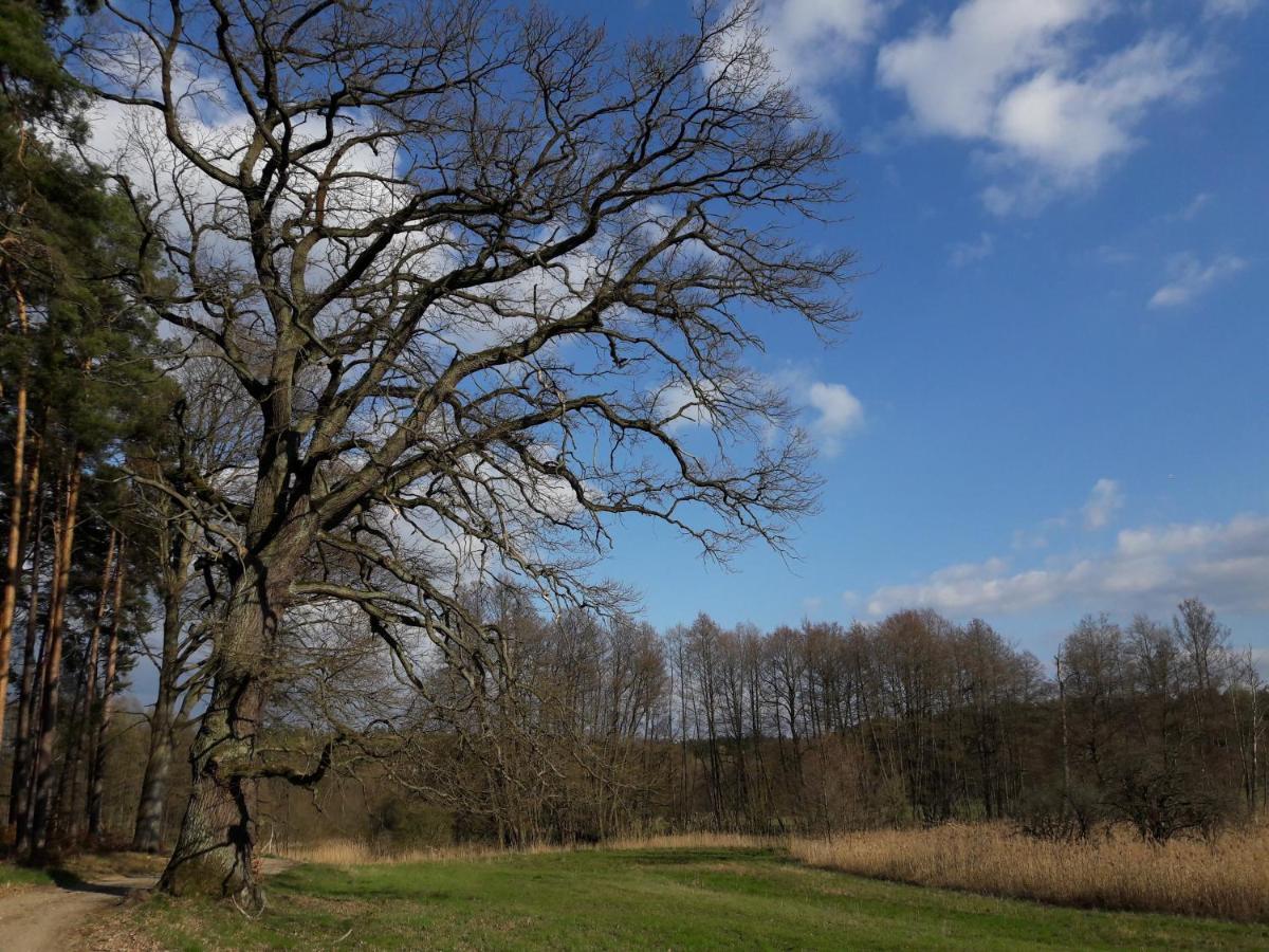 Mirabellenhof-Fewo Mit Terrasse Biesenthal Zewnętrze zdjęcie